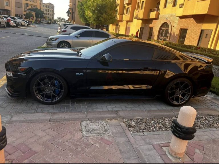 Ford Mustang Gt V8 5.0
