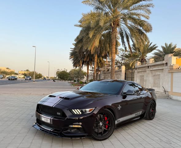Ford Mustang GT Shelby SuperSnake 2017 V8 5.0l